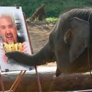 Meet your Posher, Ian